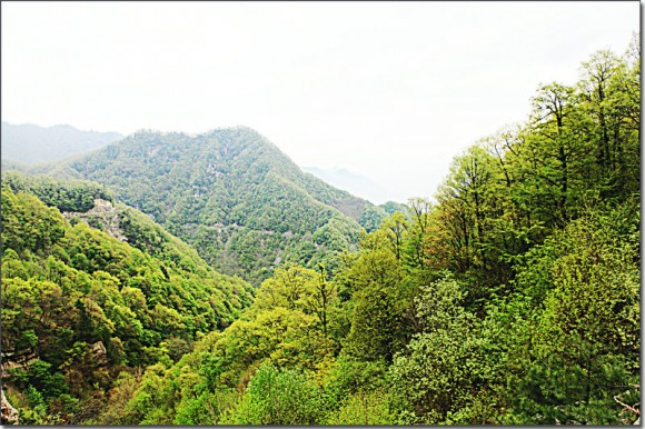 五一穿越冰晶顶