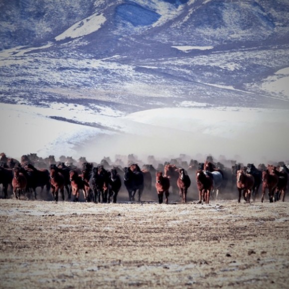 雪韵祁连（四）奔腾（上）