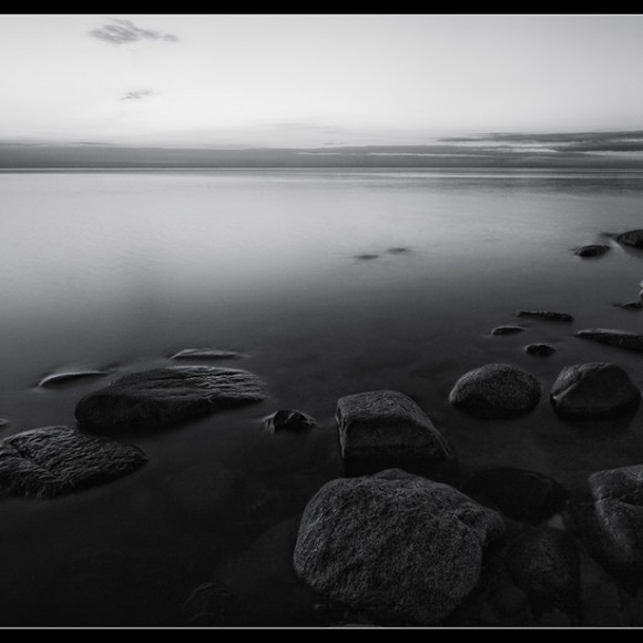 Black white landscape (12)