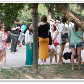 环城西苑拍美女