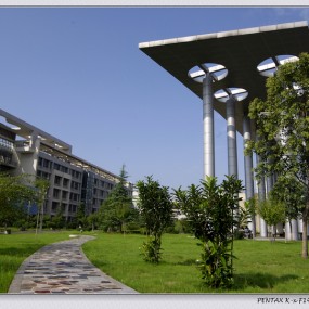 支持新版块运作~