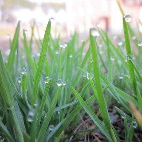 聆听大自然的声音！