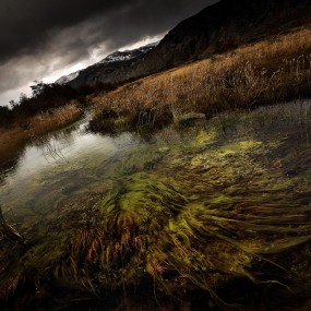 这个法国狂人拍的照片很嚣张！美到窒息！