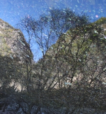 《青山不老，绿水长存》