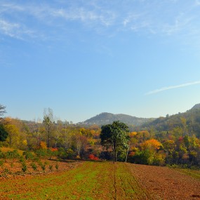 家门口的森林公园---洪庆山