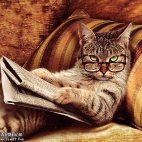 今天的头条好烂