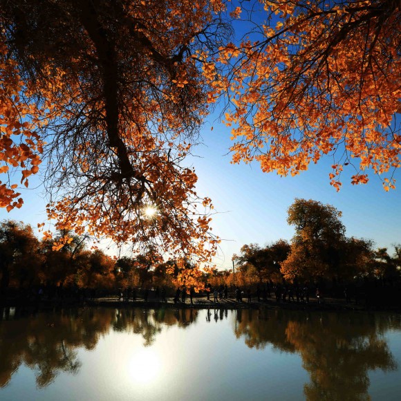 【醉美额济纳】