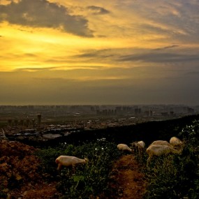 白鹿原（十）守望天地