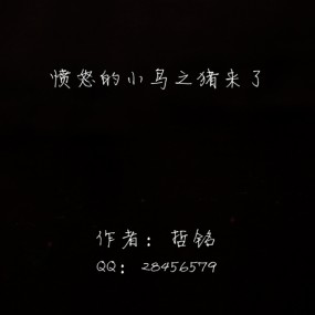 愤怒的小鸟之猪来了