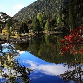 《初秋的伍须》