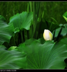 新手d300联系，请多多指正