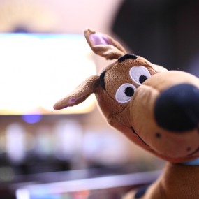 歪着头的小狗狗