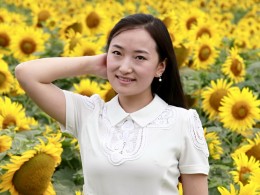 楼观葵花正当时