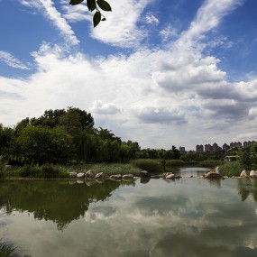 美丽曲江池    悠悠千古情