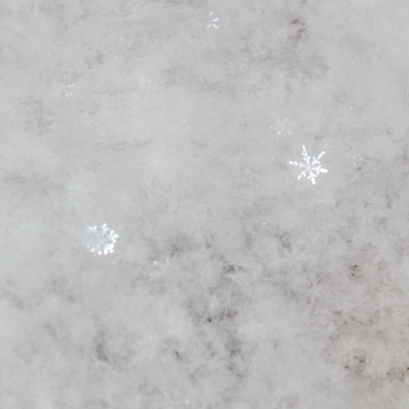 门前六出花飞，樽前万事休提。