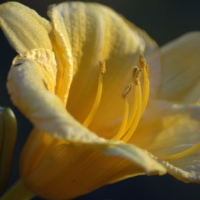 北京玉渊潭公园