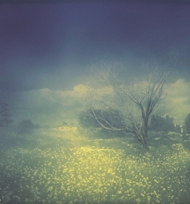 带你进入神秘时空 抹出的迷雾效果