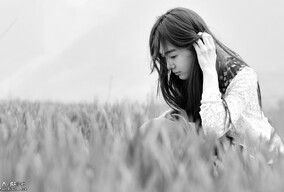 麦田地中的单色世界