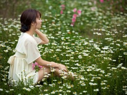 世园花海（二）