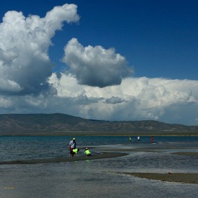 在那遥远的地方