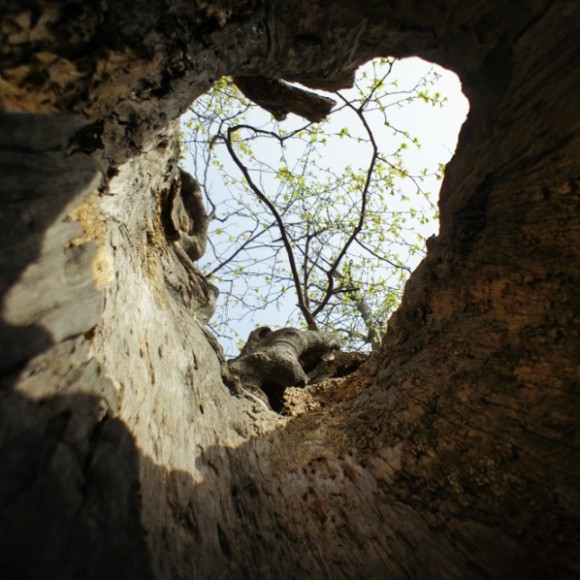 第一次发帖，多多包涵，水平有限。。。