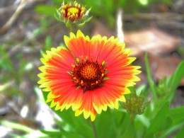 五一带家人出去玩，朋友们指点一下构图方面的