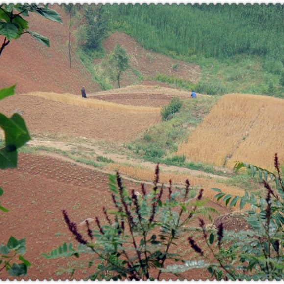 “蓝田九间房”的美景
