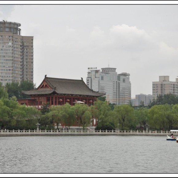 兴庆公园之阴天