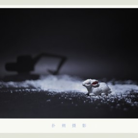 --- 《妈妈，别哭》---