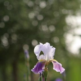 才注册的新人上张PP，去年拍的，请各位老师指点。