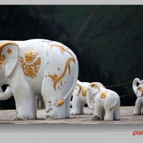 318国道上的精彩