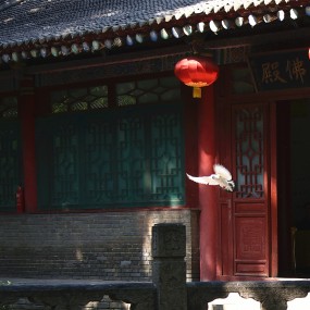 参加2016.佛诞节摄影大赛  参赛作品