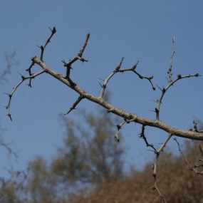 新手风景五张，求指点