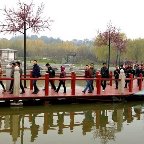 震撼、壮观、热烈、红火！——大唐作业（一）