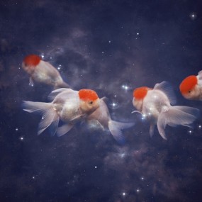 一位演员的独白