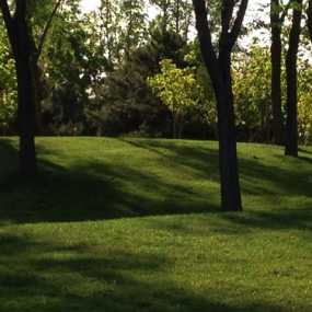 北坞公园的早晨