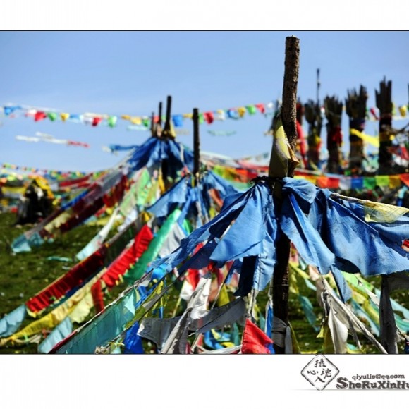 青海，门源~~~~~~~~~