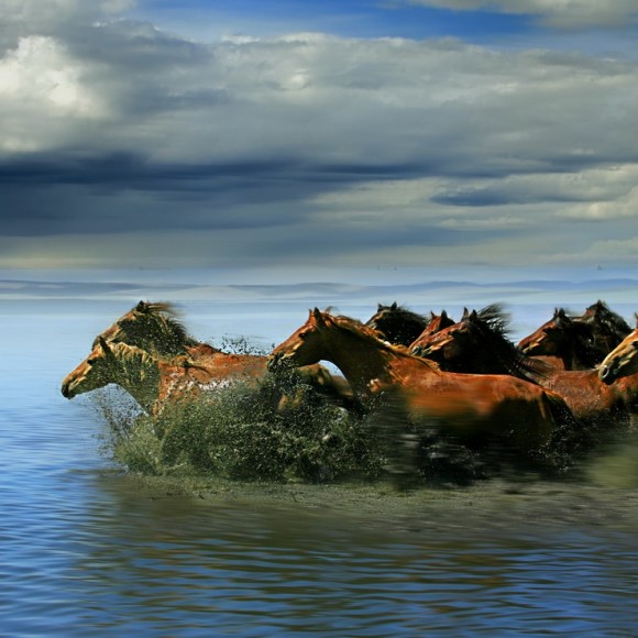 我心中的内蒙风光