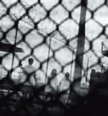 徕卡“非高贵”视界