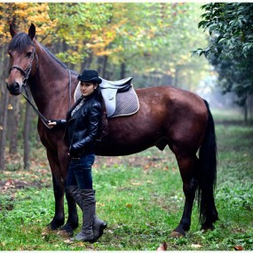 美女驯马师