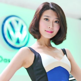 国情，车情，风景——比赛作品