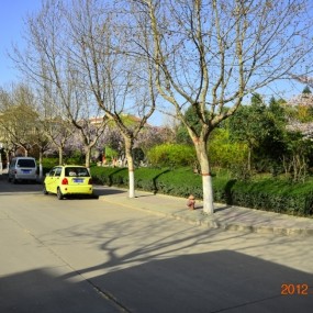 美丽思源（十） 结束曲