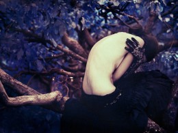 Felicia Simion 梦中的自我