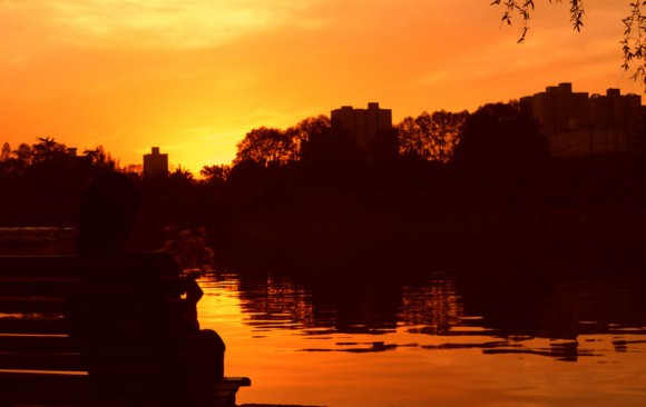 夕阳西下映春晖