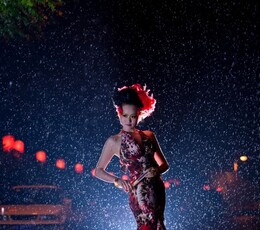 雨中节奏------含光门拍猫