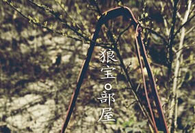 尝试拍摄日系风格图片高手指点！