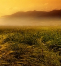 Albena Markov:印象派雾中风景