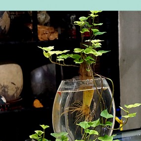 【怡情小品】  闲趣...