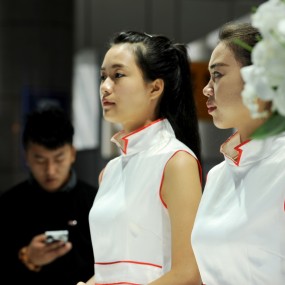 2014.10.1车展（3）