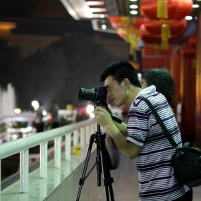 forest 开源楼上作业